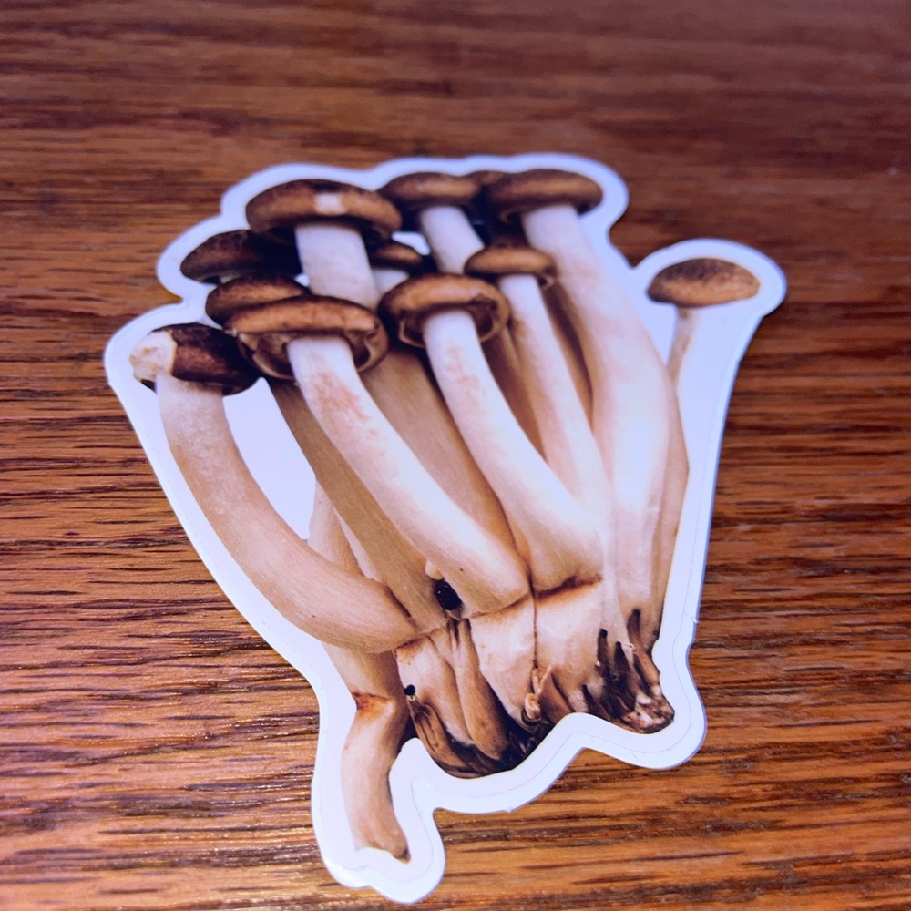 Colorful 13 Mushroom Sticker Set - Picture 5 of 14